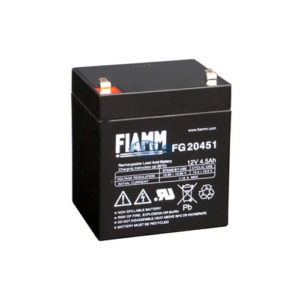 FIAMM FG20451 akumulators